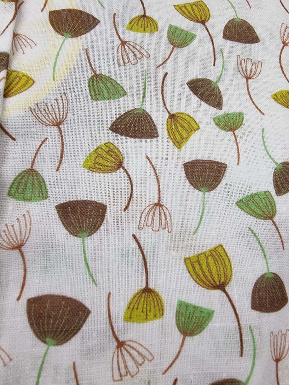 Camicia uomo Edizioni Limonaia in cotone bianco con stampa floreale, stile casual, maniche lunghe, colletto classico.