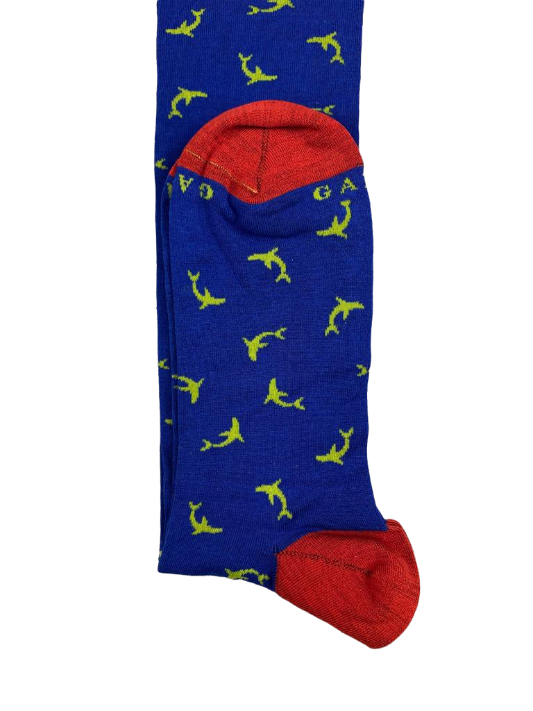 Calze Lunghe Uomo - Gallo - Fantasia delfini - blu/verde/rosso