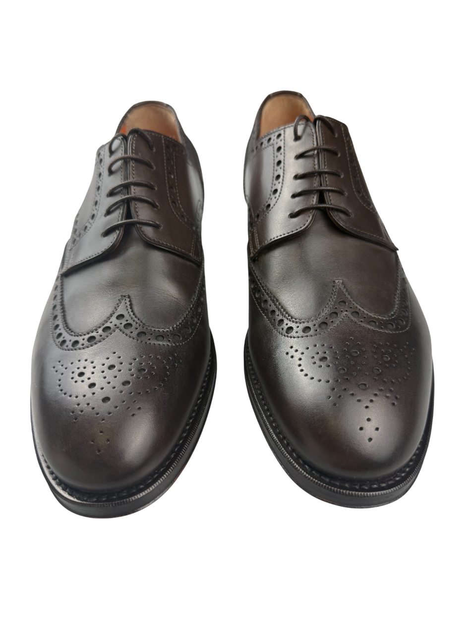 Scarpa Uomo Santoni - Derby Brogue Rondine