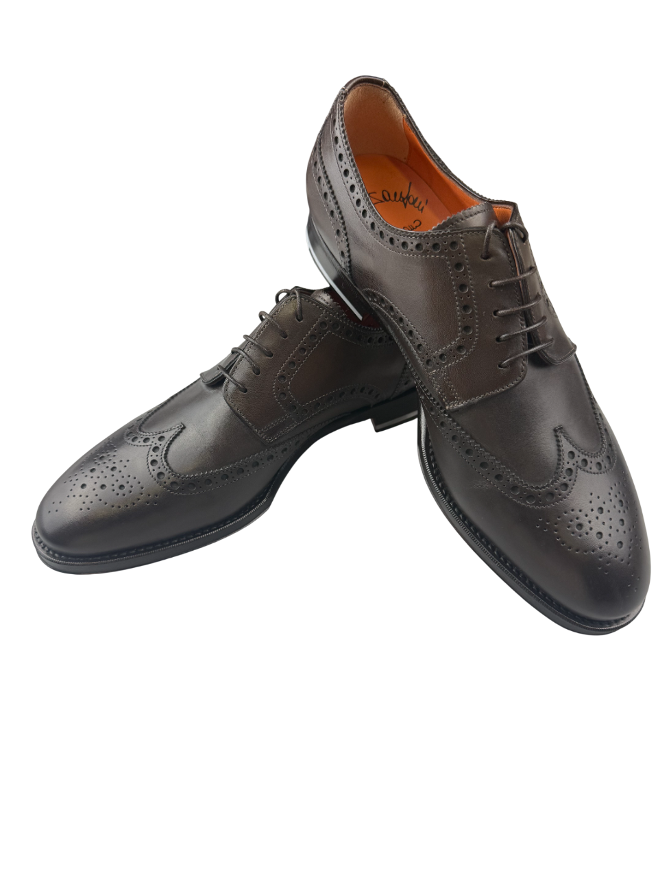Scarpa Uomo Santoni - Derby Brogue Rondine