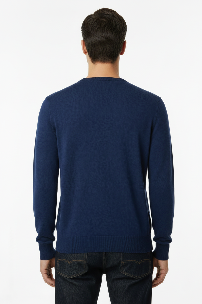 Maglia uomo Laboratori Italiani girocollo colore avion - vista posteriore - Made in Italy