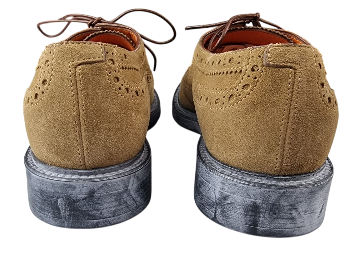 Scarpa Uomo Santoni - Derby Brogue Rondine