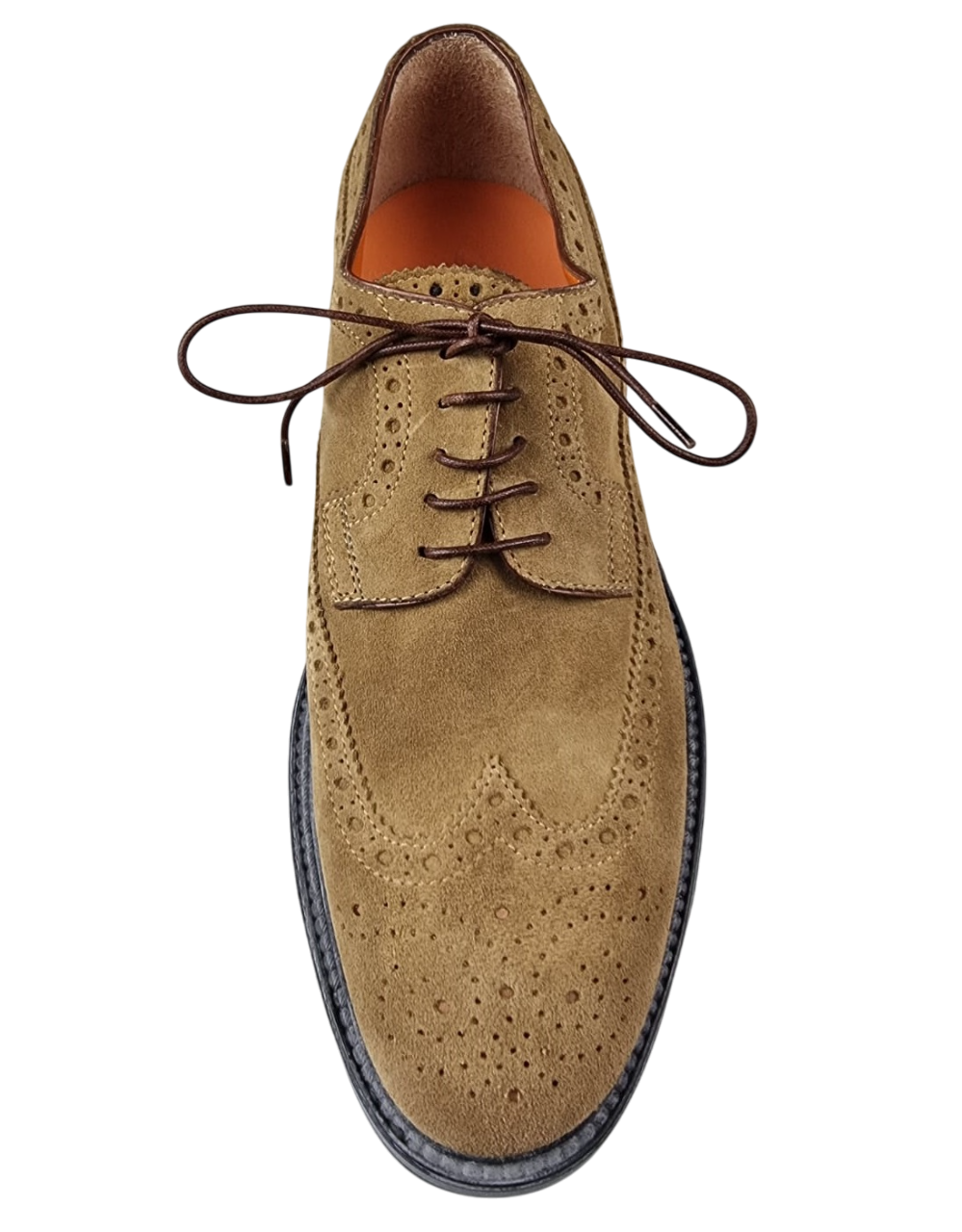 Scarpa Uomo Santoni - Derby Brogue Rondine