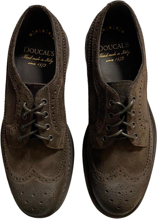 Scarpa uomo Doucal's Derby stringate brogue in scamosciato color testa di moro, scarpa elegante da uomo.