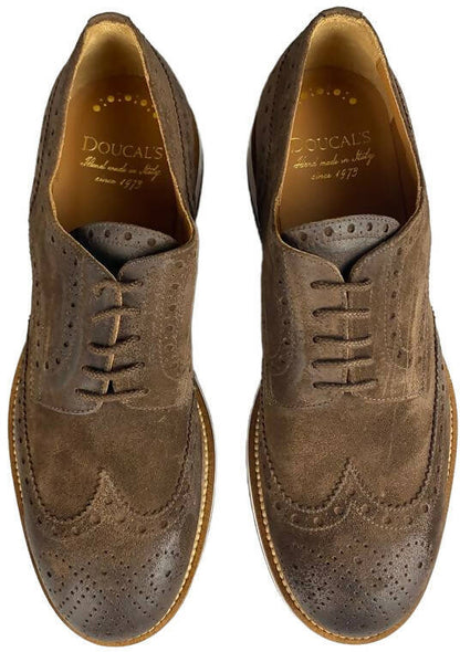 Scarpa uomo Doucal's Derby stringata brogue in scamosciato marrone, calzature basse eleganti e di alta qualità.