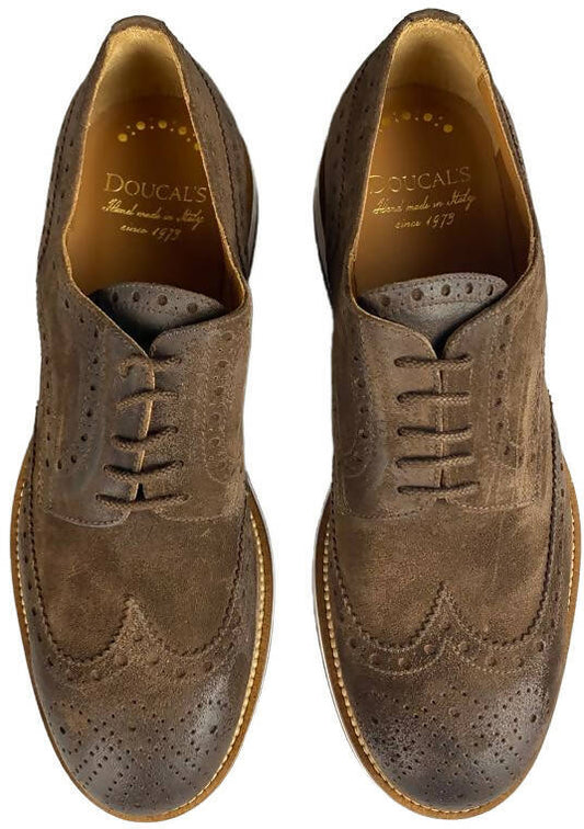Scarpa uomo Doucal's Derby stringata brogue in scamosciato marrone, calzature basse eleganti e di alta qualità.