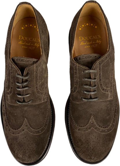 Scarpa uomo Doucal's Derby Stringate Brogue in camoscio marrone, scarpe stringate basse da moda uomo.