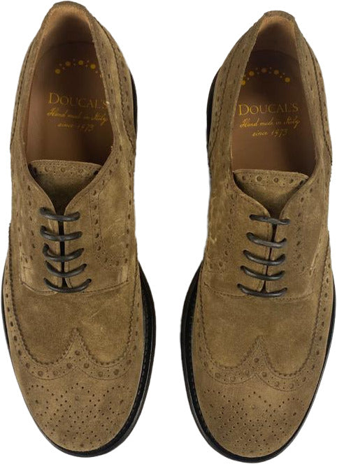 Scarpa uomo Doucal's Derby stringata Brogue in scamosciato color tabacco, scarpe basse eleganti e confortevoli.