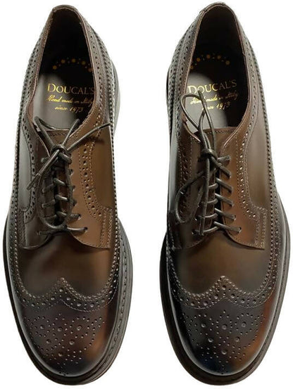 Scarpa uomo Doucal's Derby Stringate Brogue in pelle colore testa di moro, scarpe stringate basse in stile classico.