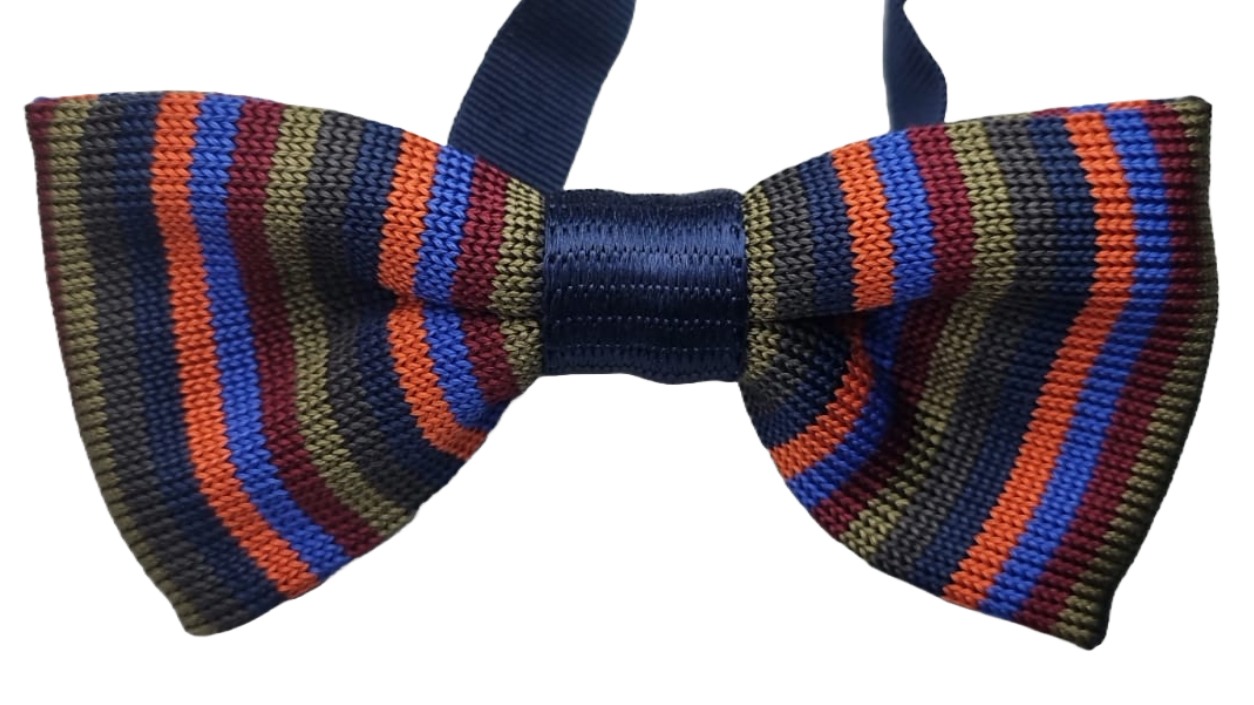 Papillon Uomo Gallo - Seta Royal/kaienna Righe Multicolor