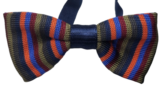 Papillon Uomo Gallo - Seta Royal/kaienna Righe Multicolor