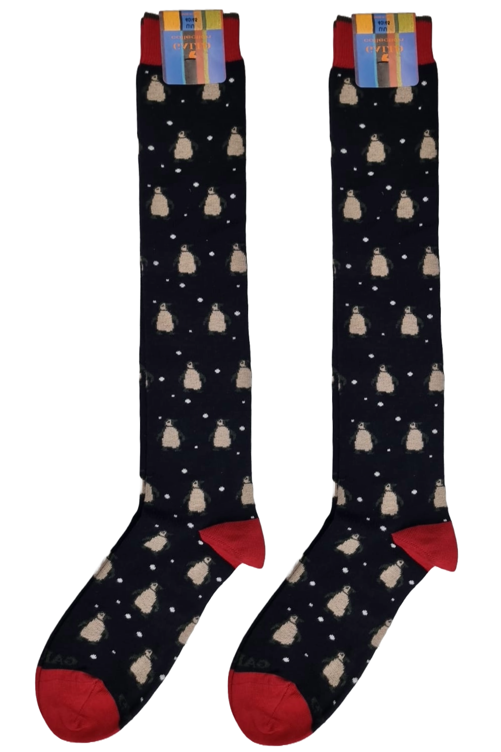 Men's Long Socks - Rooster - Fruit Pattern - Blue/Green