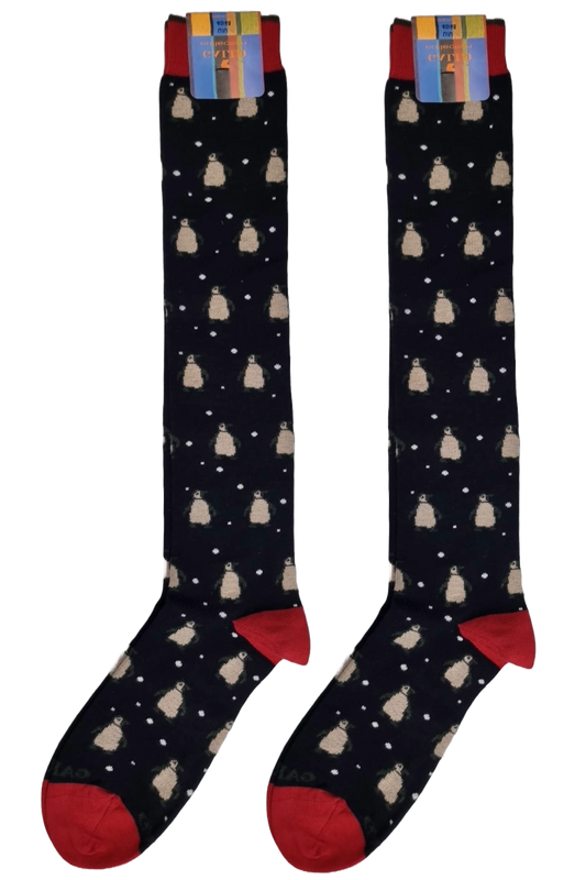 Men's Long Socks - Rooster - Fruit Pattern - Blue/Green