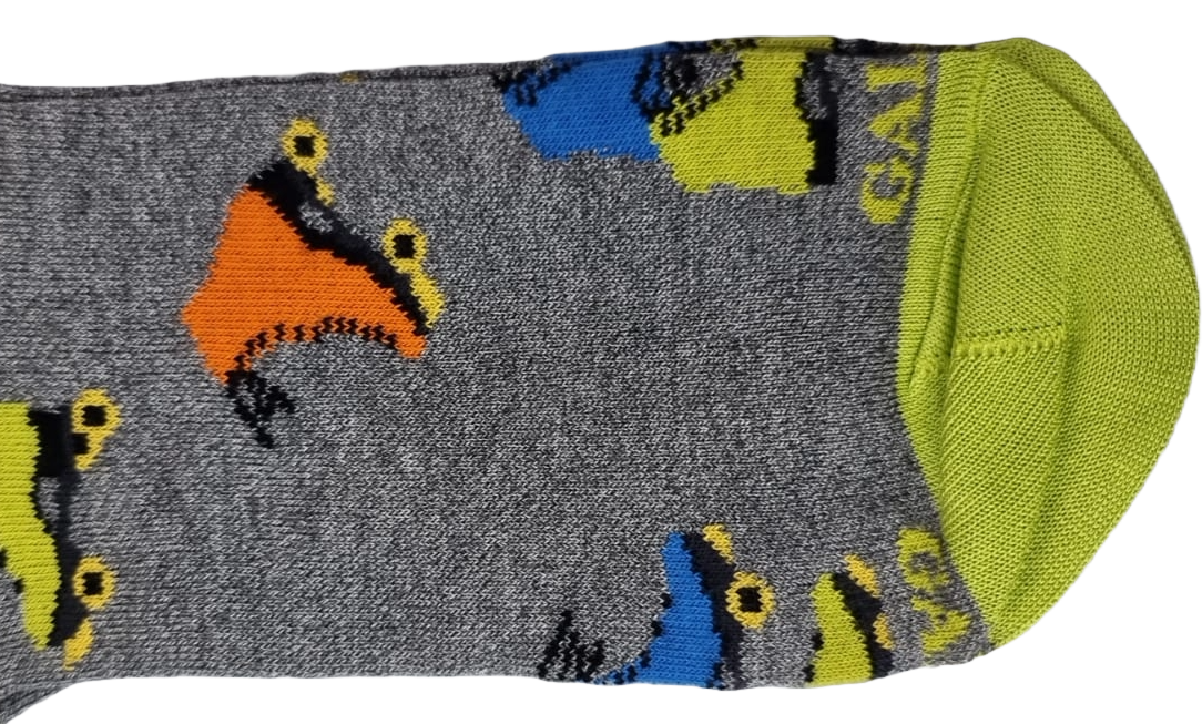 Men's Long Socks - Rooster - Fruit Pattern - Blue/Green