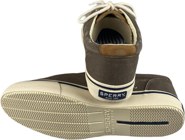 Scarpa da uomo Sperry Sneakers Striper LL CVO in cioccolato, scarpa casual sportive in stile sneakers.