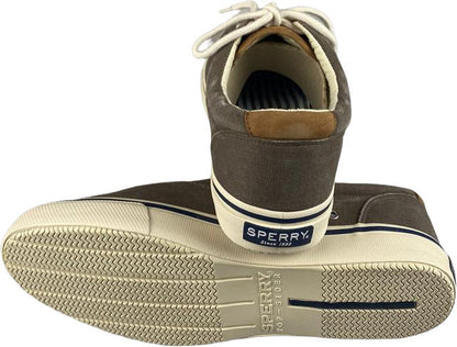 Scarpa da uomo Sperry Sneakers Striper LL CVO in cioccolato, scarpa casual sportive in stile sneakers.
