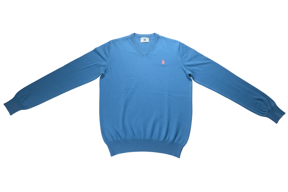 Maglia da uomo US POLO ASSN a manica lunga con scollo a V in tessuto azzurro, abbigliamento moda uomo.