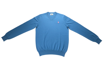 Maglia da uomo US POLO ASSN a manica lunga con scollo a V in tessuto azzurro, abbigliamento moda uomo.